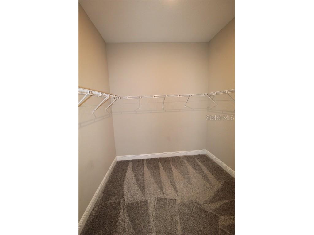 5144 Citrus Leaf Boulevard Winter Garden FL 34787 O6365901 image18