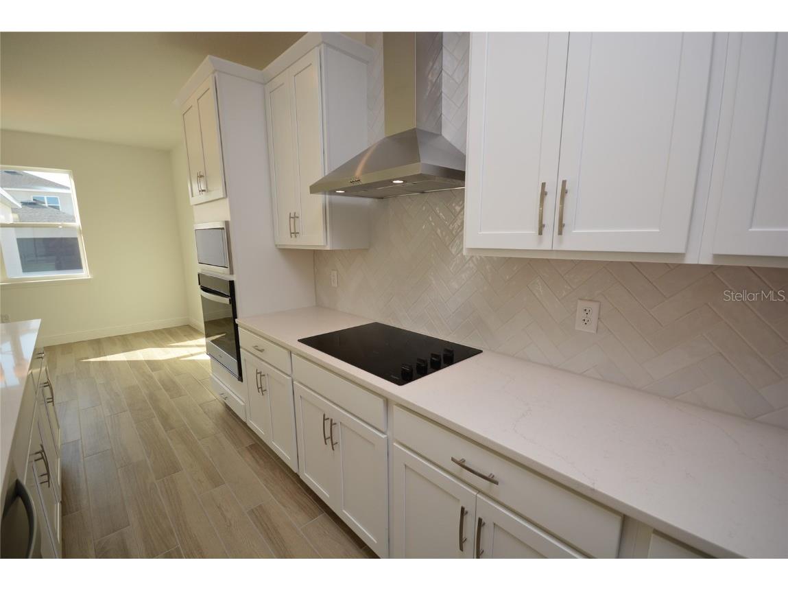 5144 Firebush Drive Apopka FL 32712 O6363341 image13