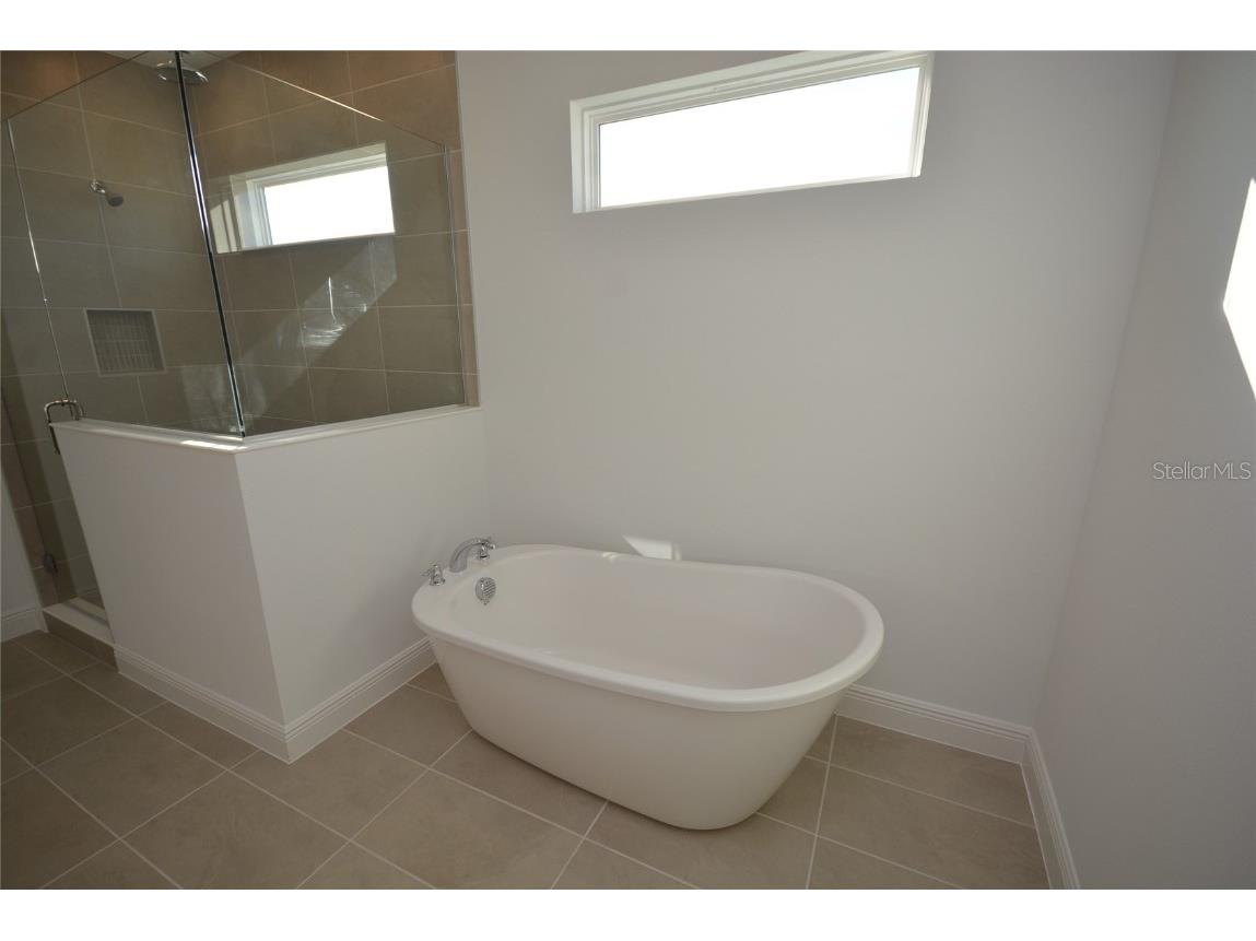 5144 Firebush Drive Apopka FL 32712 O6363341 image35