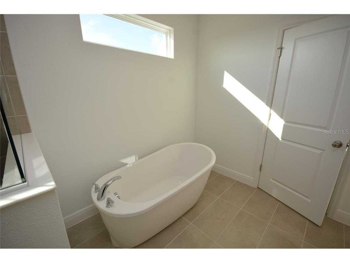 5144 Firebush Drive Apopka FL 32712 O6363341 image36