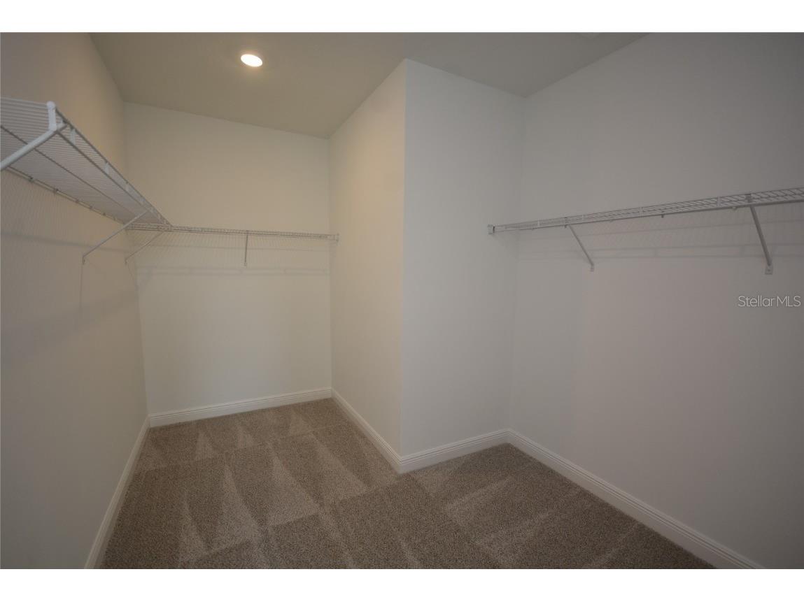 5144 Firebush Drive Apopka FL 32712 O6363341 image43