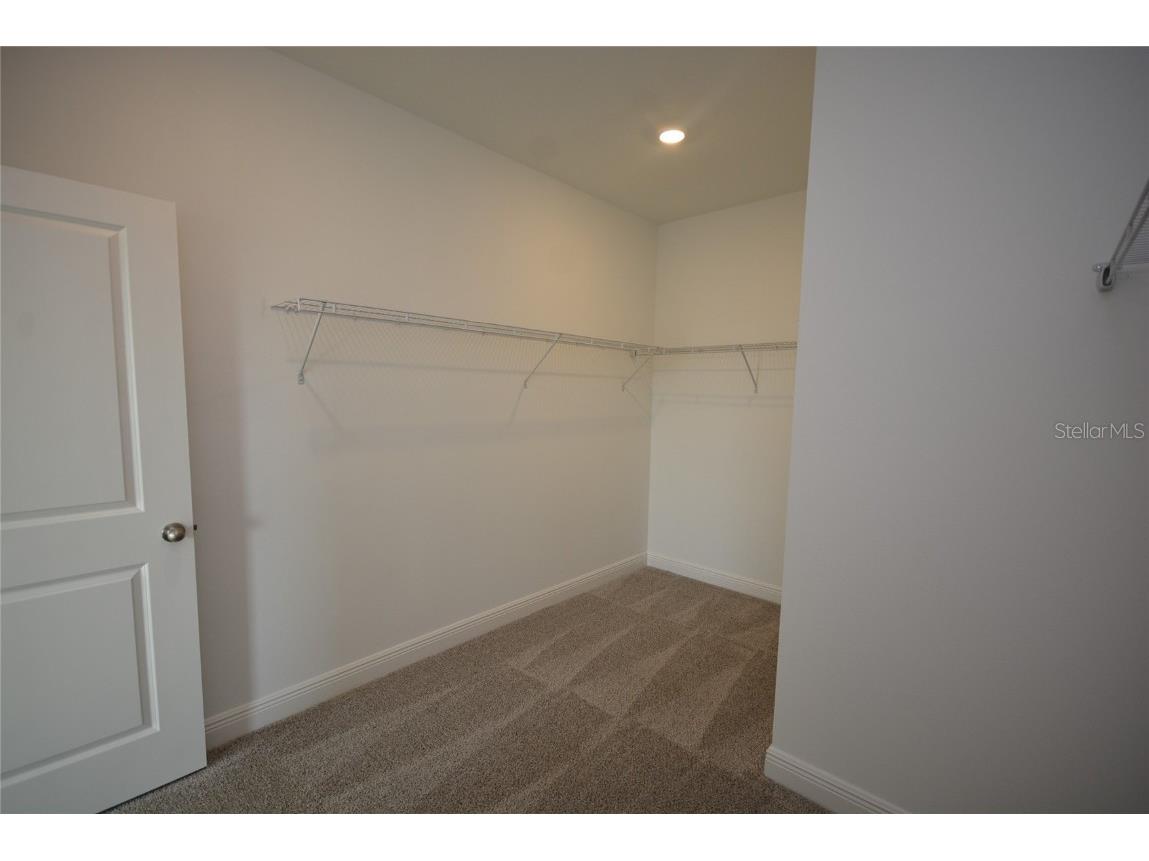 5144 Firebush Drive Apopka FL 32712 O6363341 image44