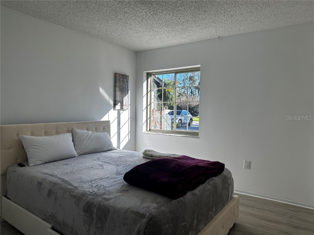 5144 Pine Tree Lane Wesley Chapel FL 33543 TB8351090 image13