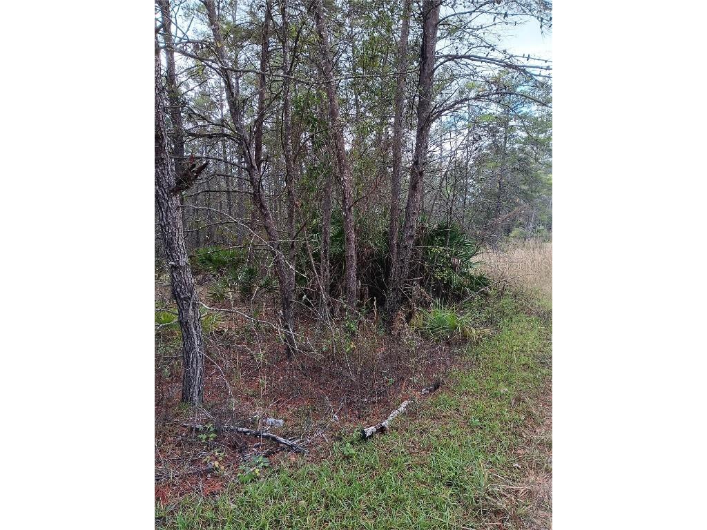 5144 W Osmond Lane Dunnellon FL 34433 G5077196 image1