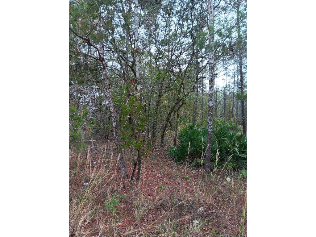 5144 W Osmond Lane Dunnellon FL 34433 G5077196 image2