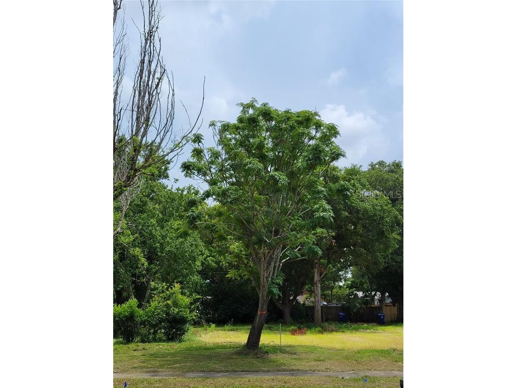 5145 4th Avenue N Saint Petersburg FL 33710 T3477912 image1