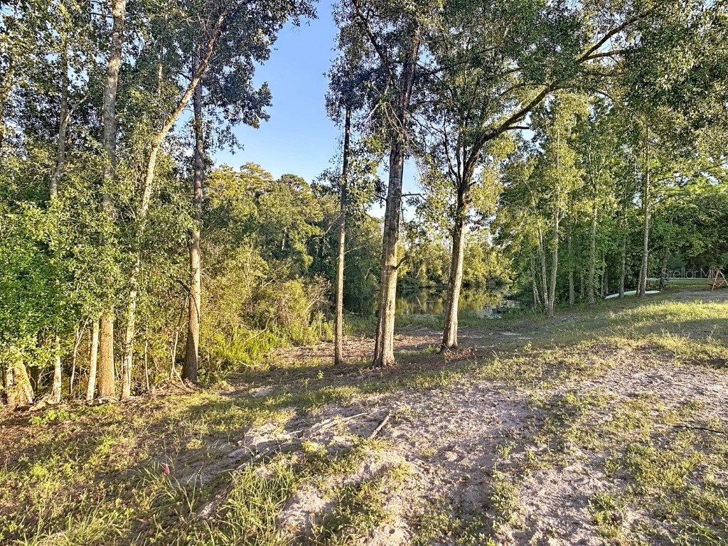 5146 Eagle Boulevard Land O Lakes FL 34639 TB8440419 image24