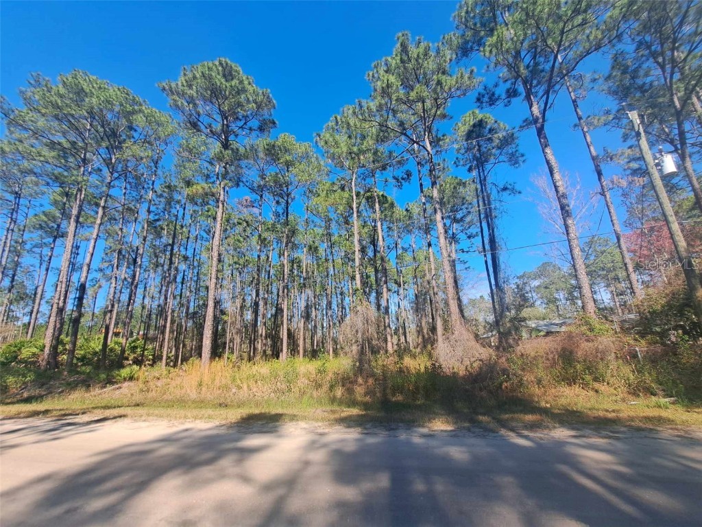 5146 Lime Avenue Bunnell FL 32110 V4934409 image1
