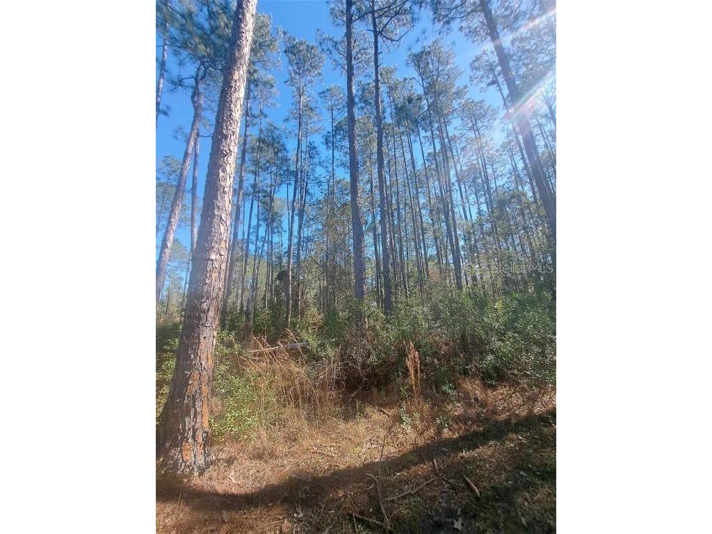 5146 Lime Avenue Bunnell FL 32110 V4945427 image2