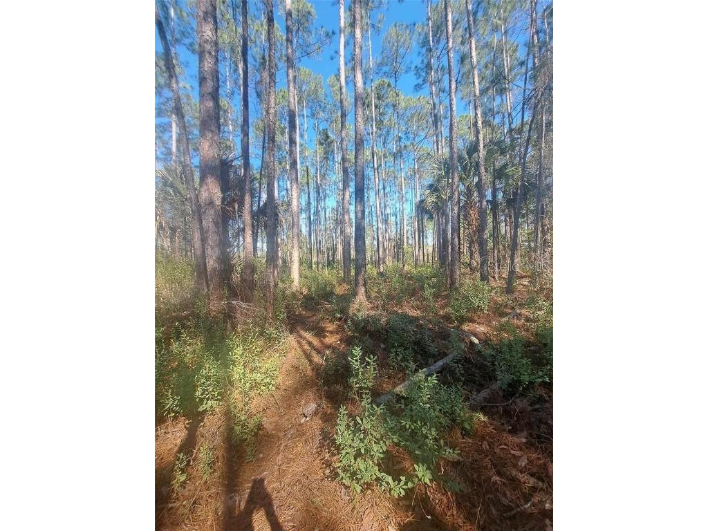 5146 Lime Avenue Bunnell FL 32110 V4945427 image3