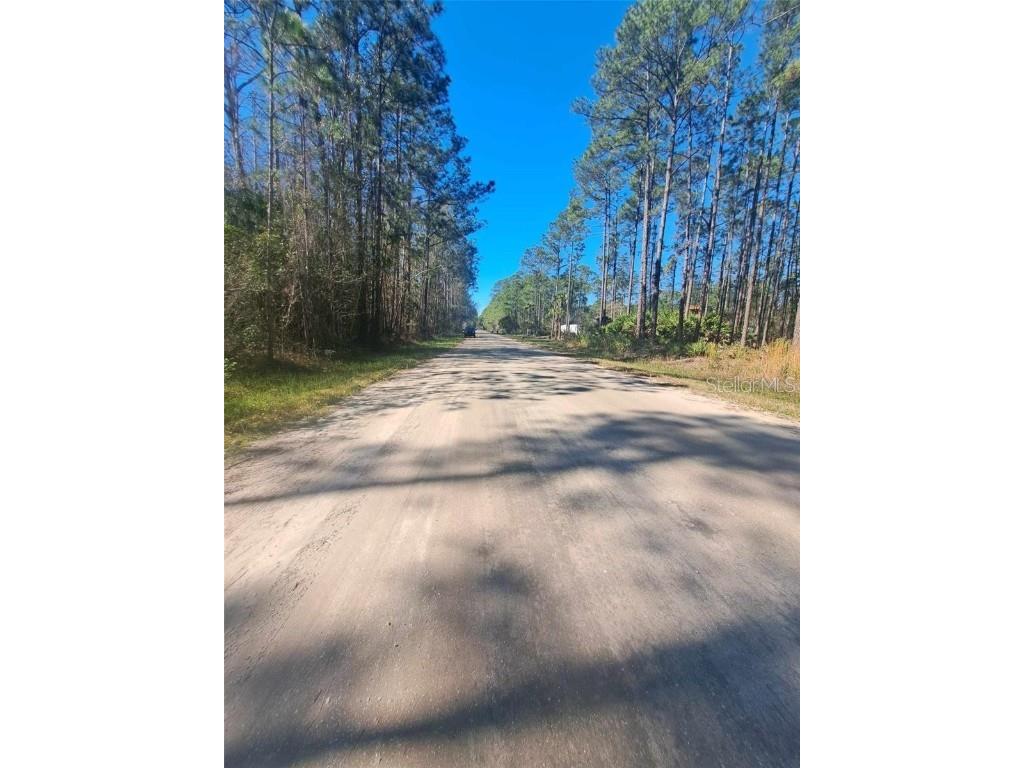 5146 Lime Avenue Bunnell FL 32110 V4945427 image4