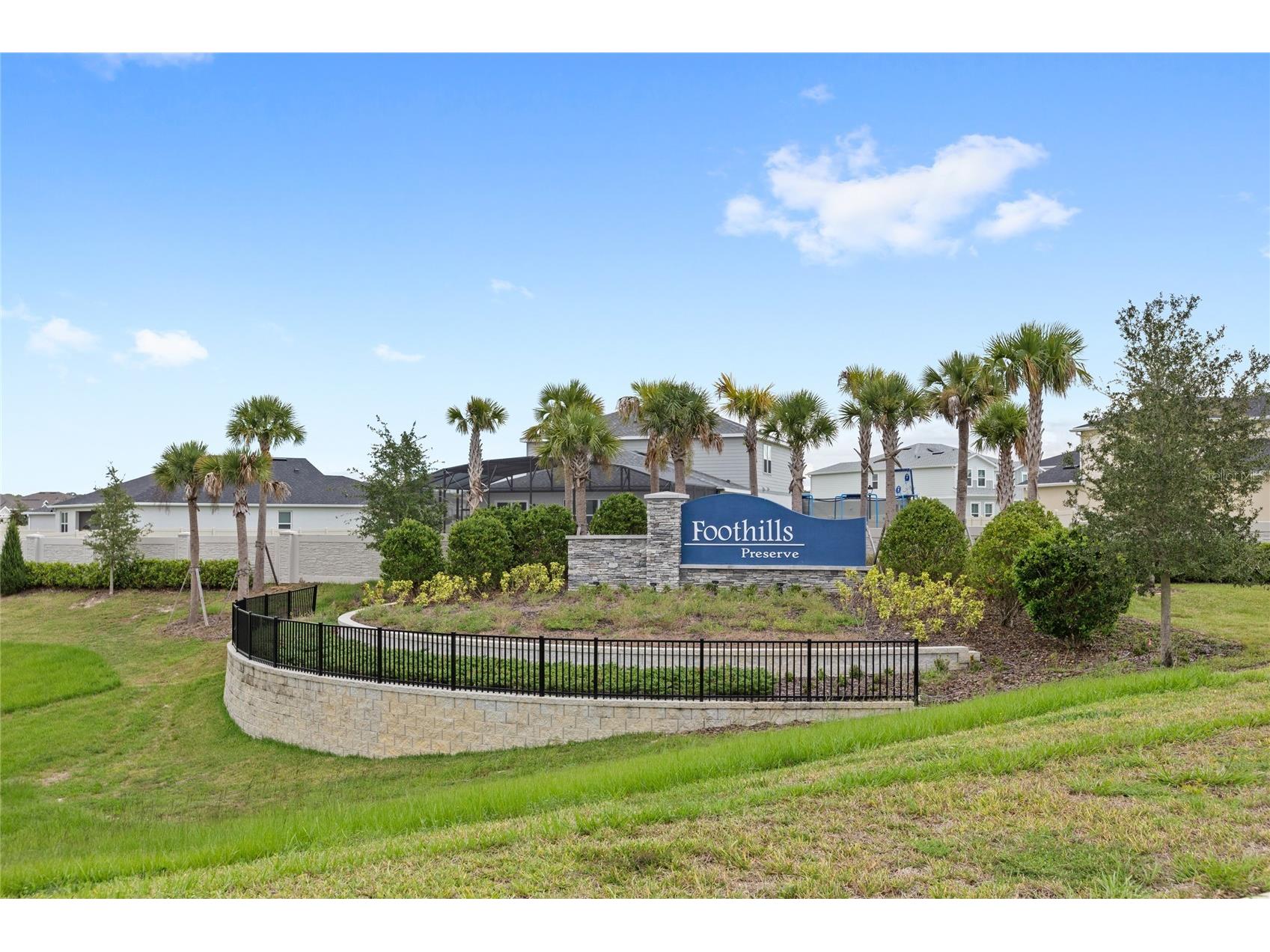 5148 Foothills Preserve Loop Mount Dora FL 32757 O6373754 image54