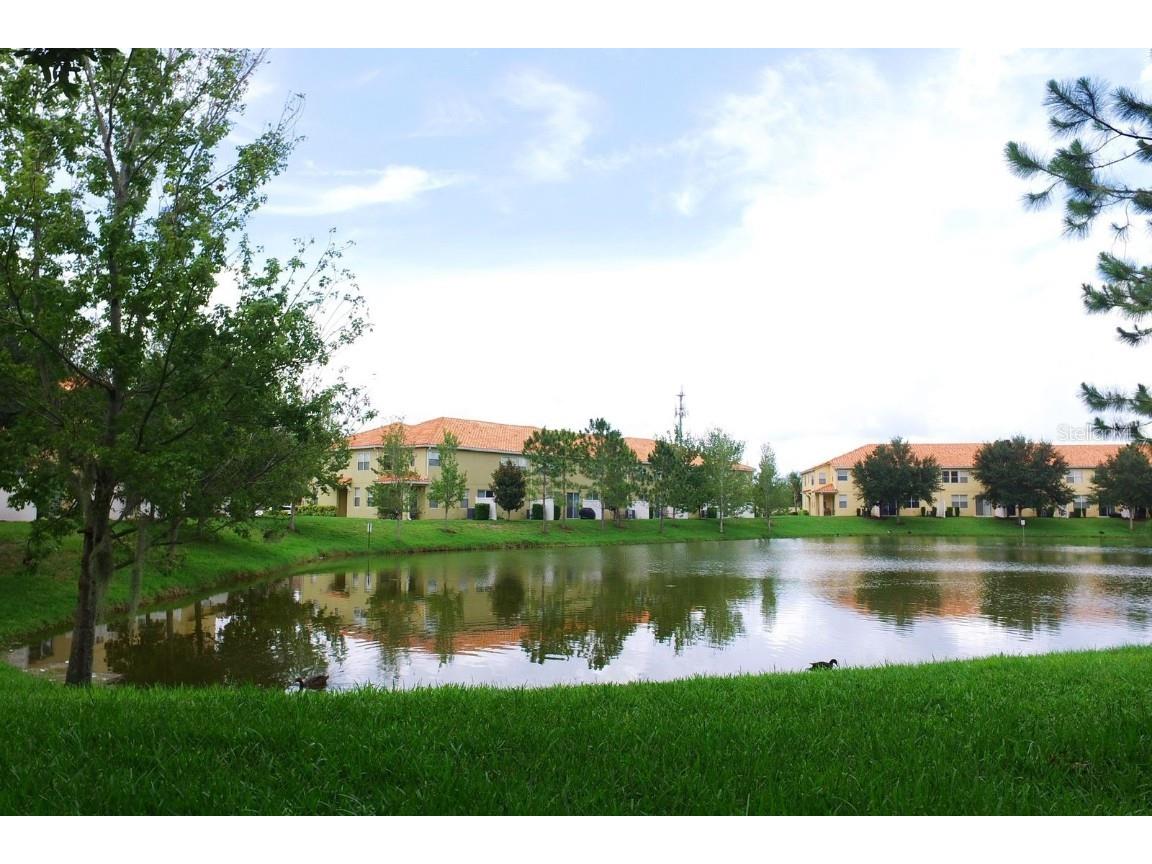 5149 Adelaide Drive Kissimmee FL 34746 O6350358 image36