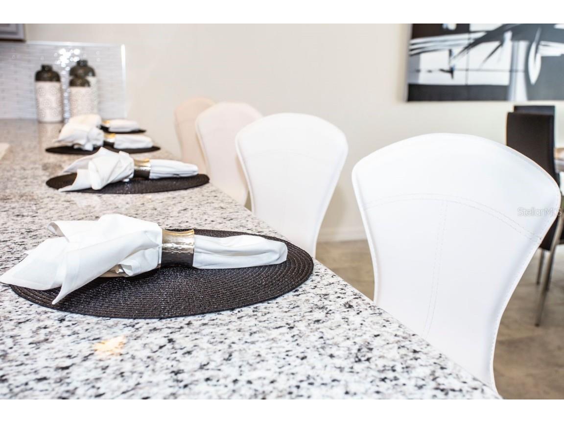 5149 Adelaide Drive Kissimmee FL 34746 O6350358 image8