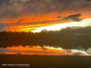 5149 Jennings Trail Brooksville FL 34601 TB8341230 image46