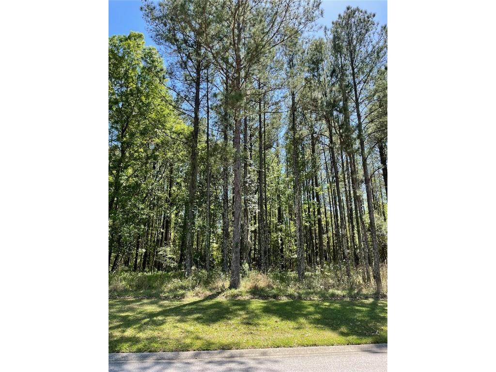 5149 Summit View Drive Brooksville FL 34601 W7843553 image1