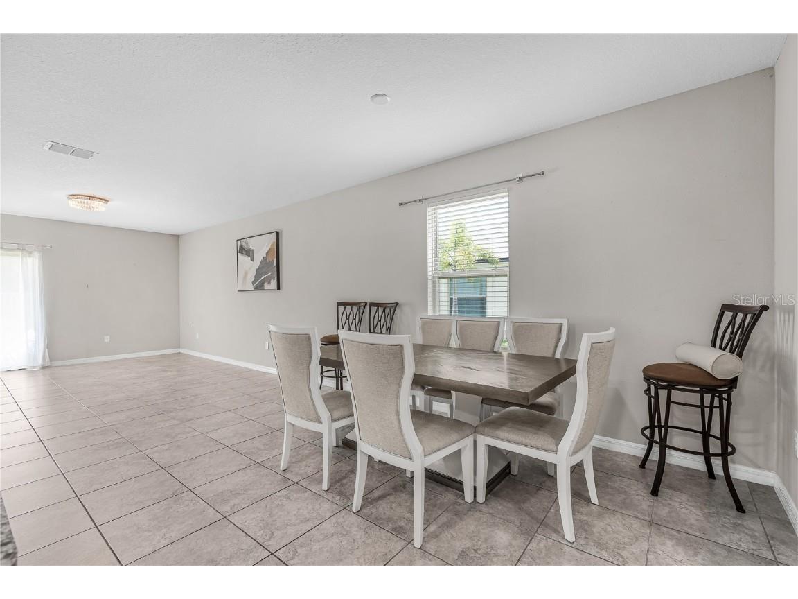 5149 White Chicory Drive Apollo Beach FL 33572 TB8413262 image14