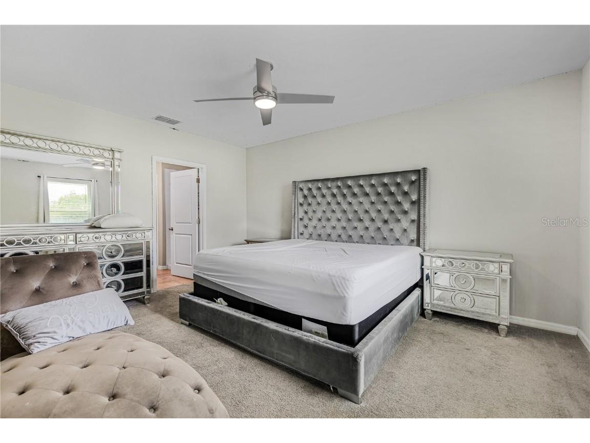 5149 White Chicory Drive Apollo Beach FL 33572 TB8413262 image21