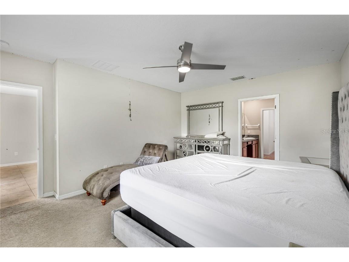 5149 White Chicory Drive Apollo Beach FL 33572 TB8413262 image22