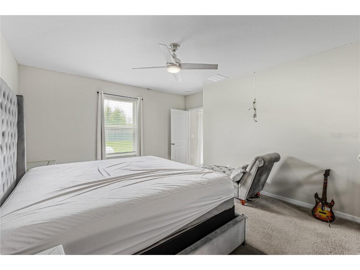 5149 White Chicory Drive Apollo Beach FL 33572 TB8413262 image23