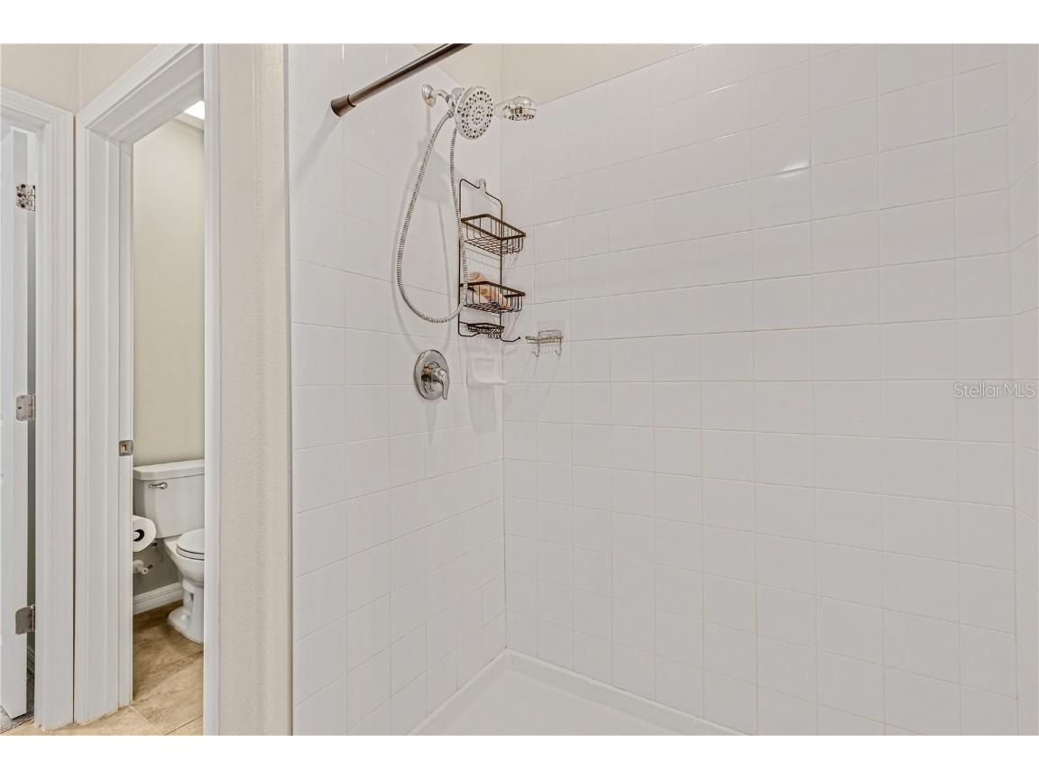 5149 White Chicory Drive Apollo Beach FL 33572 TB8413262 image26