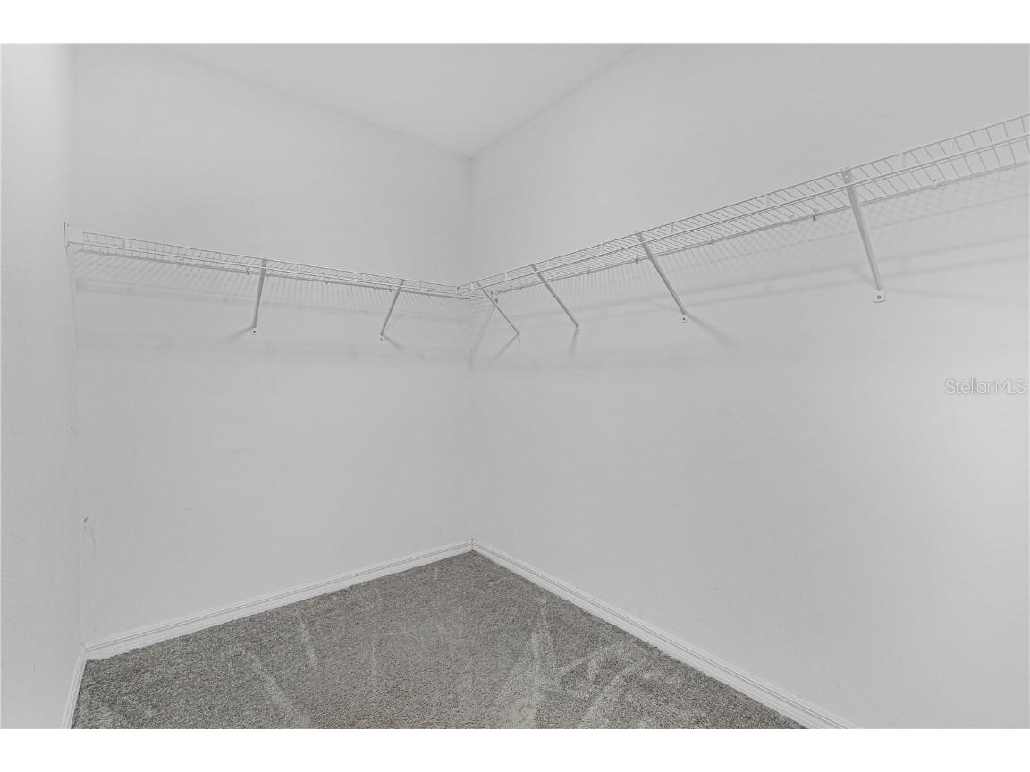 5149 White Chicory Drive Apollo Beach FL 33572 TB8413262 image28