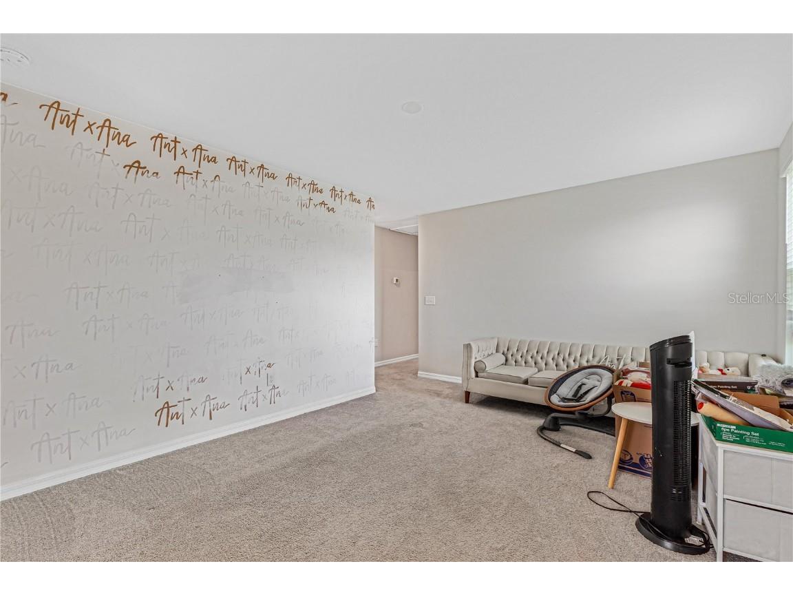 5149 White Chicory Drive Apollo Beach FL 33572 TB8413262 image29