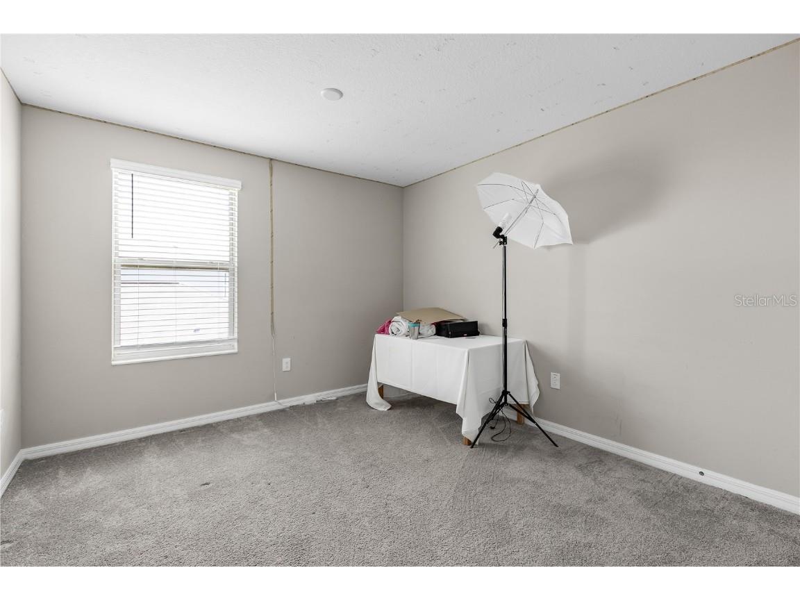 5149 White Chicory Drive Apollo Beach FL 33572 TB8413262 image32