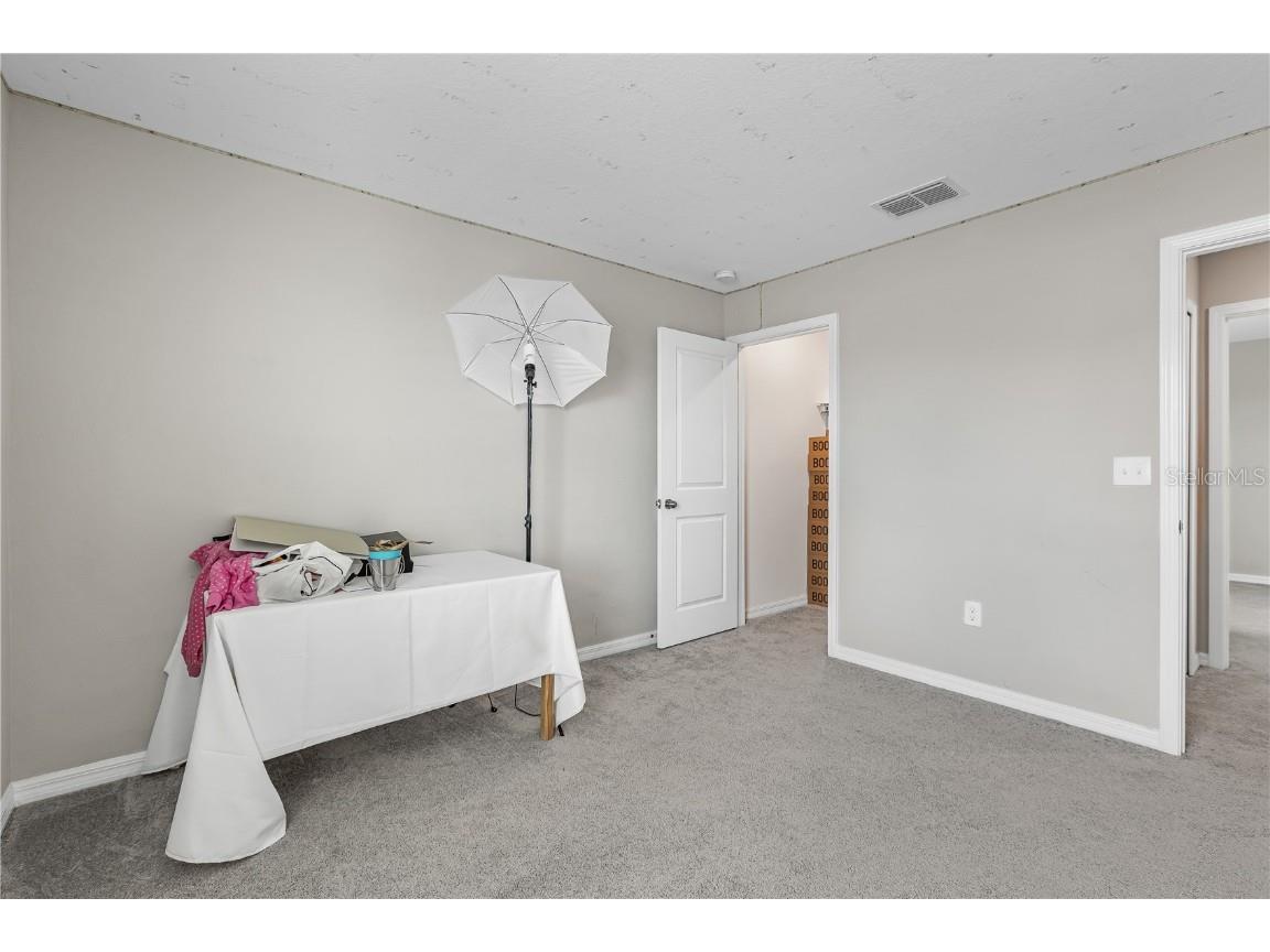 5149 White Chicory Drive Apollo Beach FL 33572 TB8413262 image33