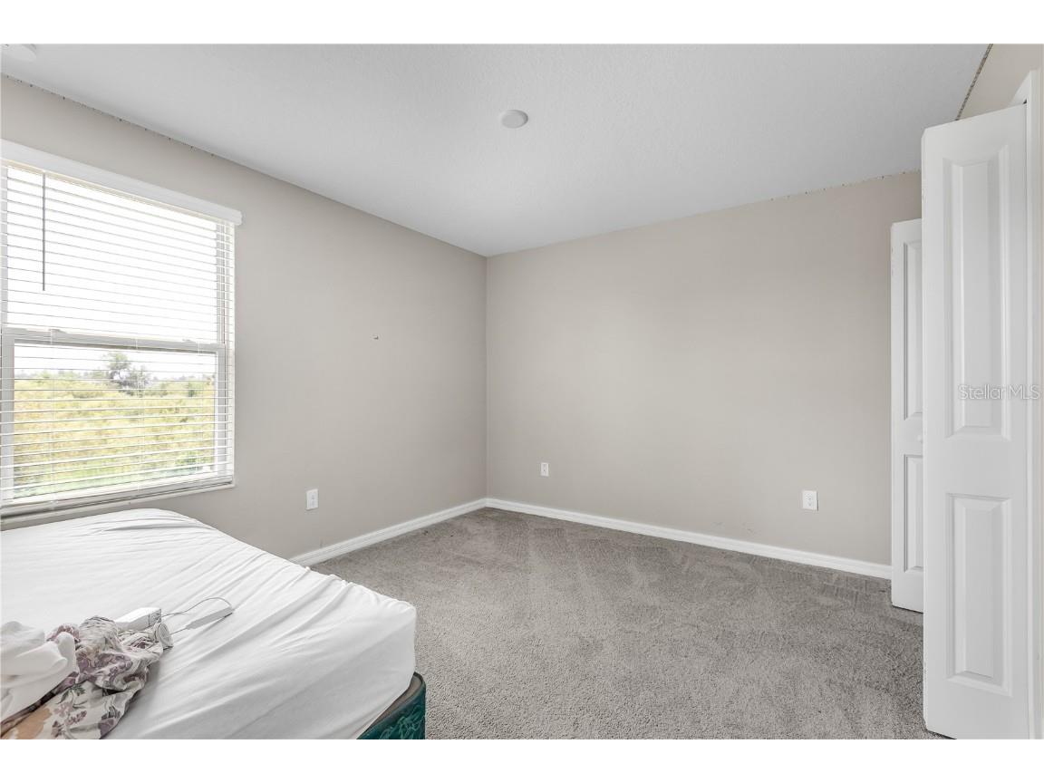 5149 White Chicory Drive Apollo Beach FL 33572 TB8413262 image35