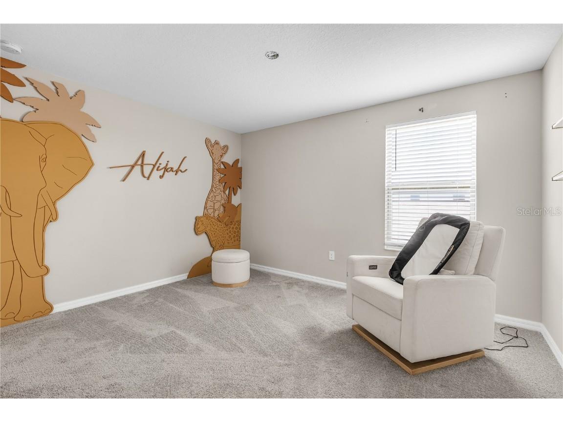 5149 White Chicory Drive Apollo Beach FL 33572 TB8413262 image36