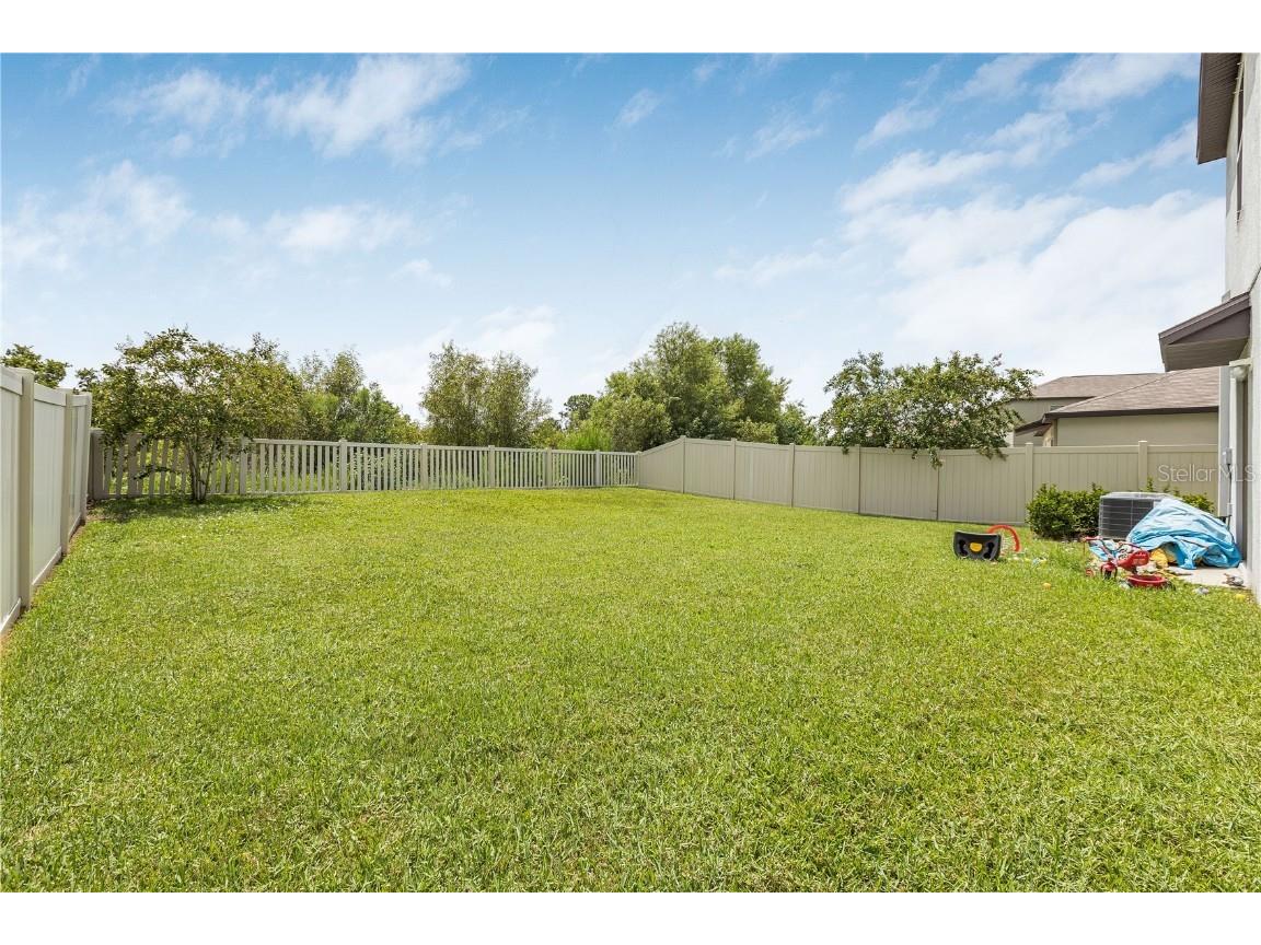 5149 White Chicory Drive Apollo Beach FL 33572 TB8413262 image43