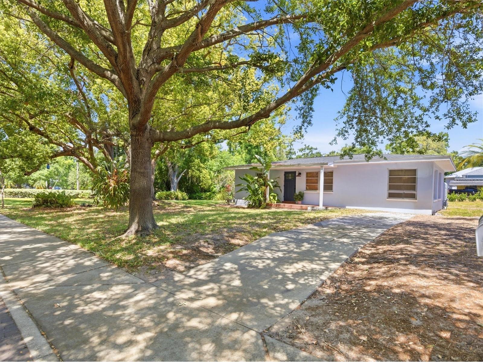 515 2nd Street N Safety Harbor FL 34695 TB8507943 image37
