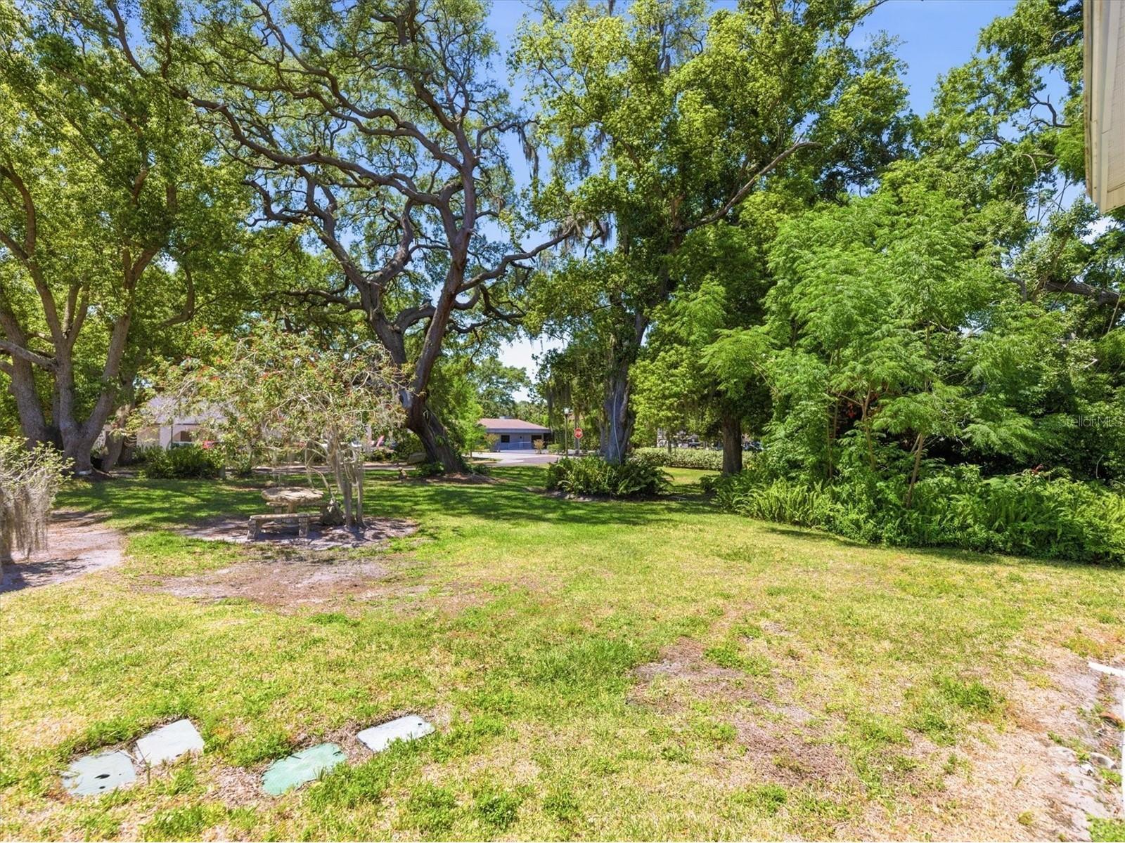 515 2nd Street N Safety Harbor FL 34695 TB8507943 image44