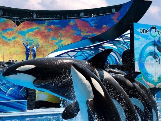 515.5 Daniels Avenue Orlando FL 32801 O6375136 image32