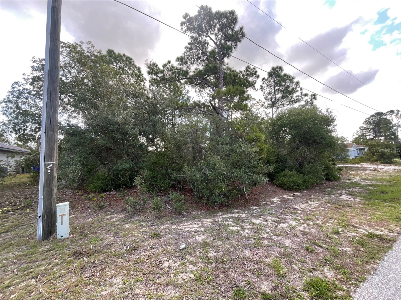 515 Concert Drive Lake Placid FL 33852 C7527366 image1