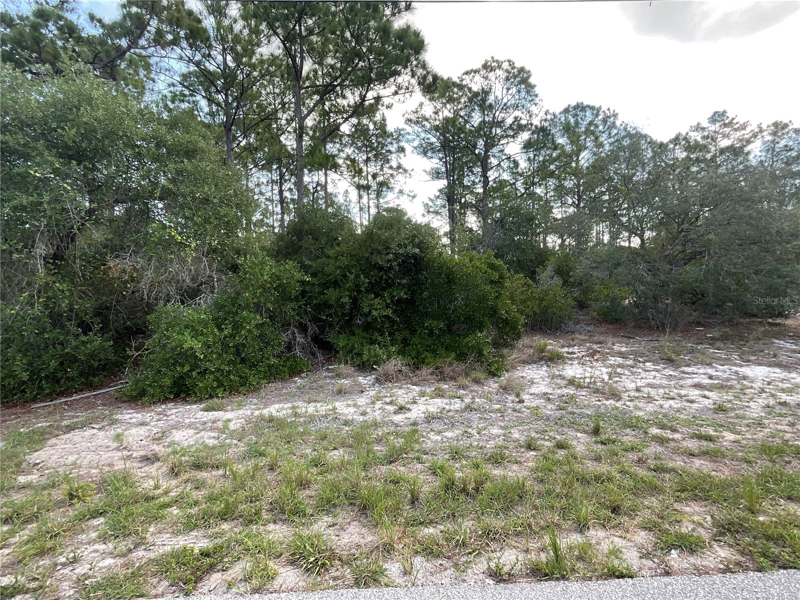 515 Concert Drive Lake Placid FL 33852 C7527366 image2