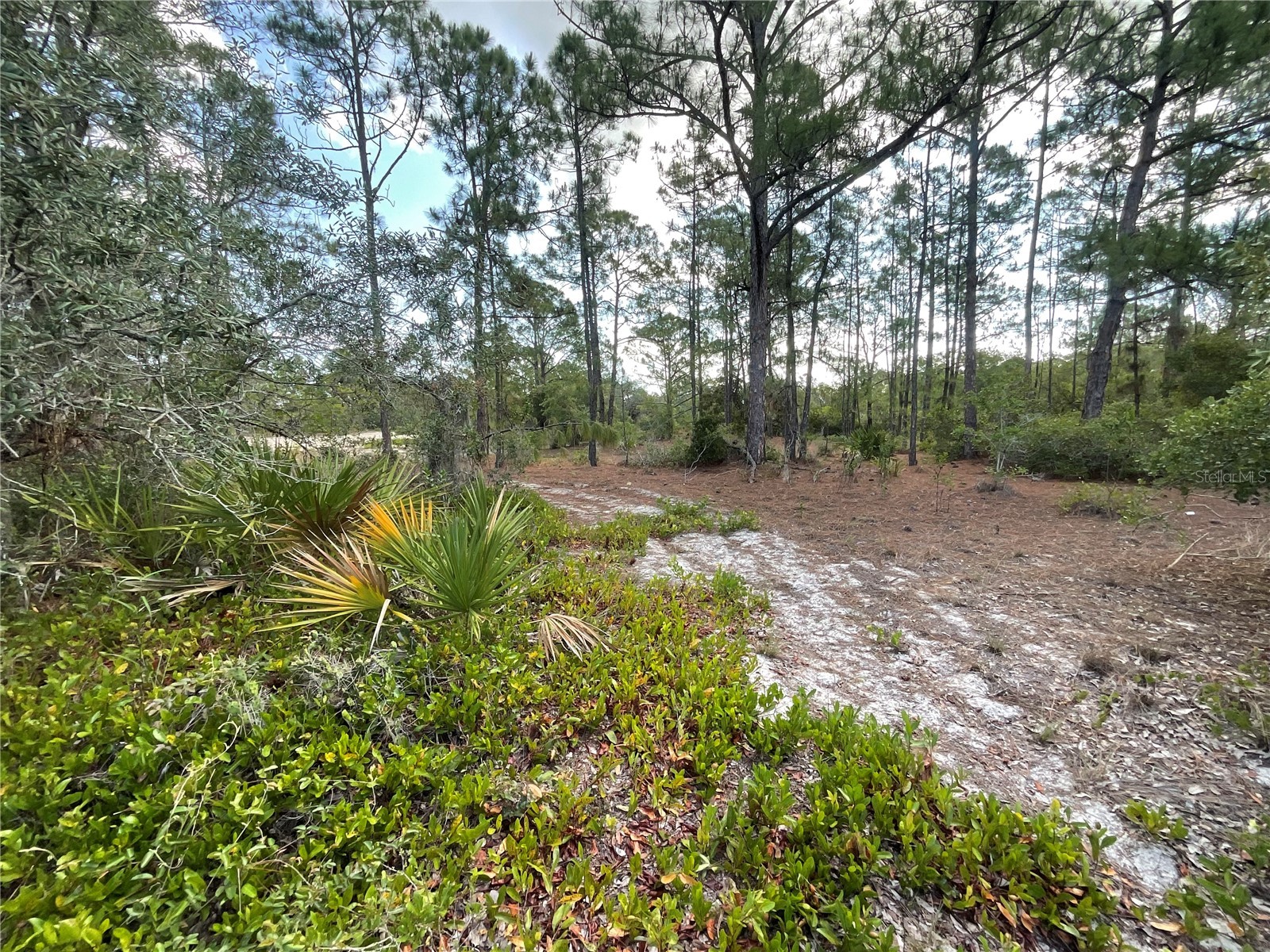 515 Concert Drive Lake Placid FL 33852 C7527366 image3