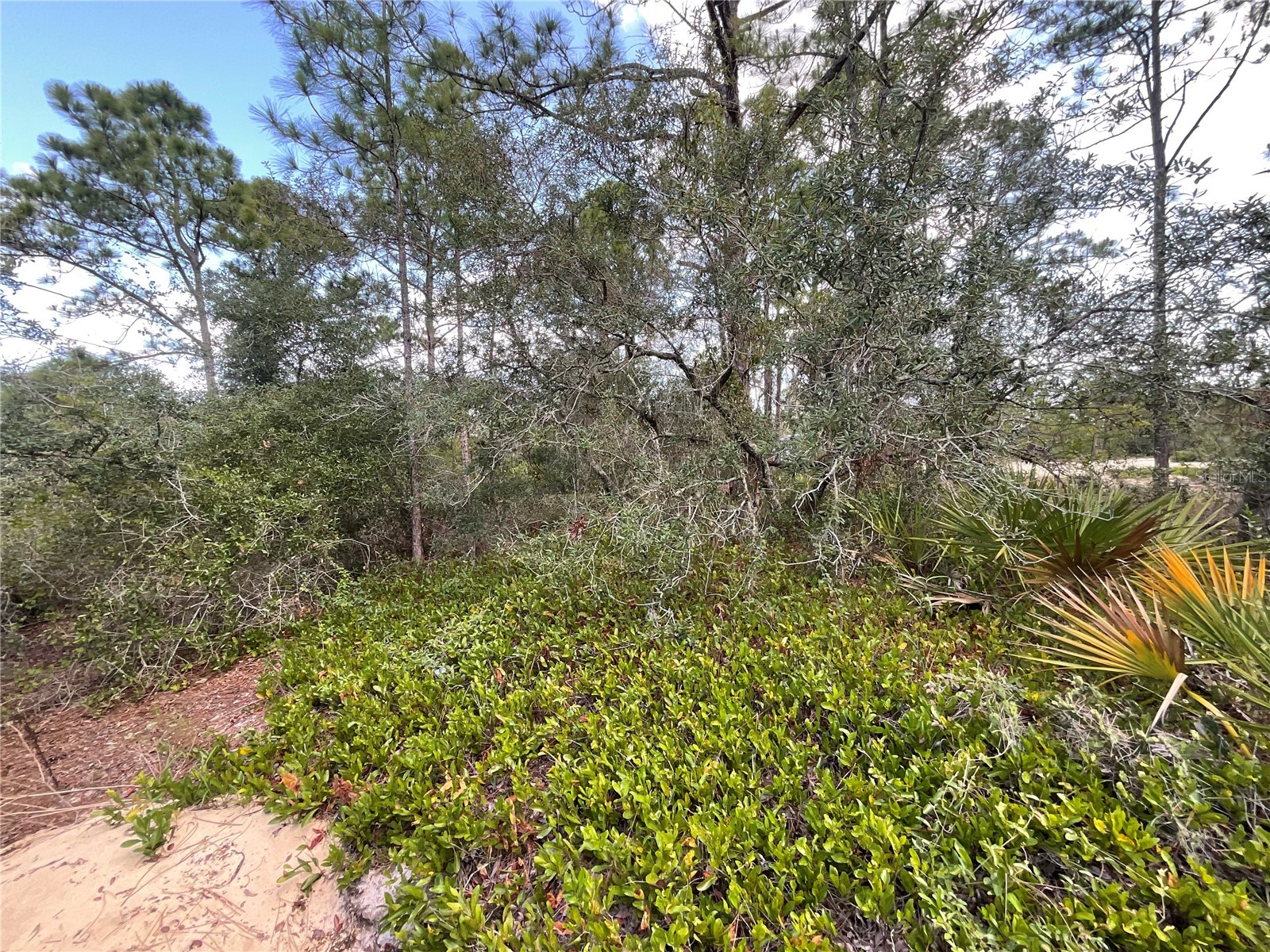 515 Concert Drive Lake Placid FL 33852 C7527366 image4