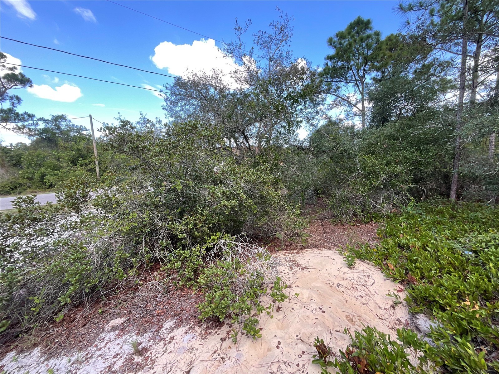 515 Concert Drive Lake Placid FL 33852 C7527366 image5