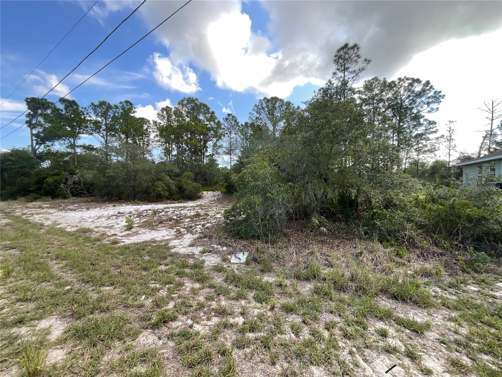 515 Concert Drive Lake Placid FL 33852 C7527366 image6