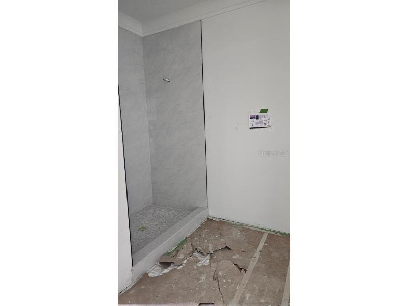 515 Bosphorous Avenue Tampa FL 33606 TB8347898 image16