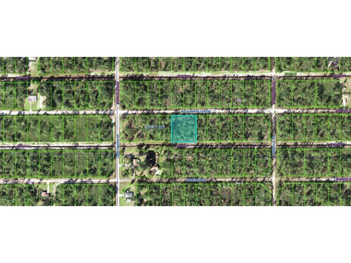 515 Bougainville Drive Indian Lake Estates FL 33855 O6312977 image4