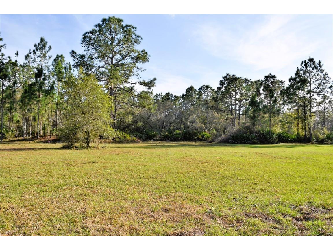 515 Cypress Isles Road Osteen FL 32764 - ST JOHNS RIVER V4928923 image1