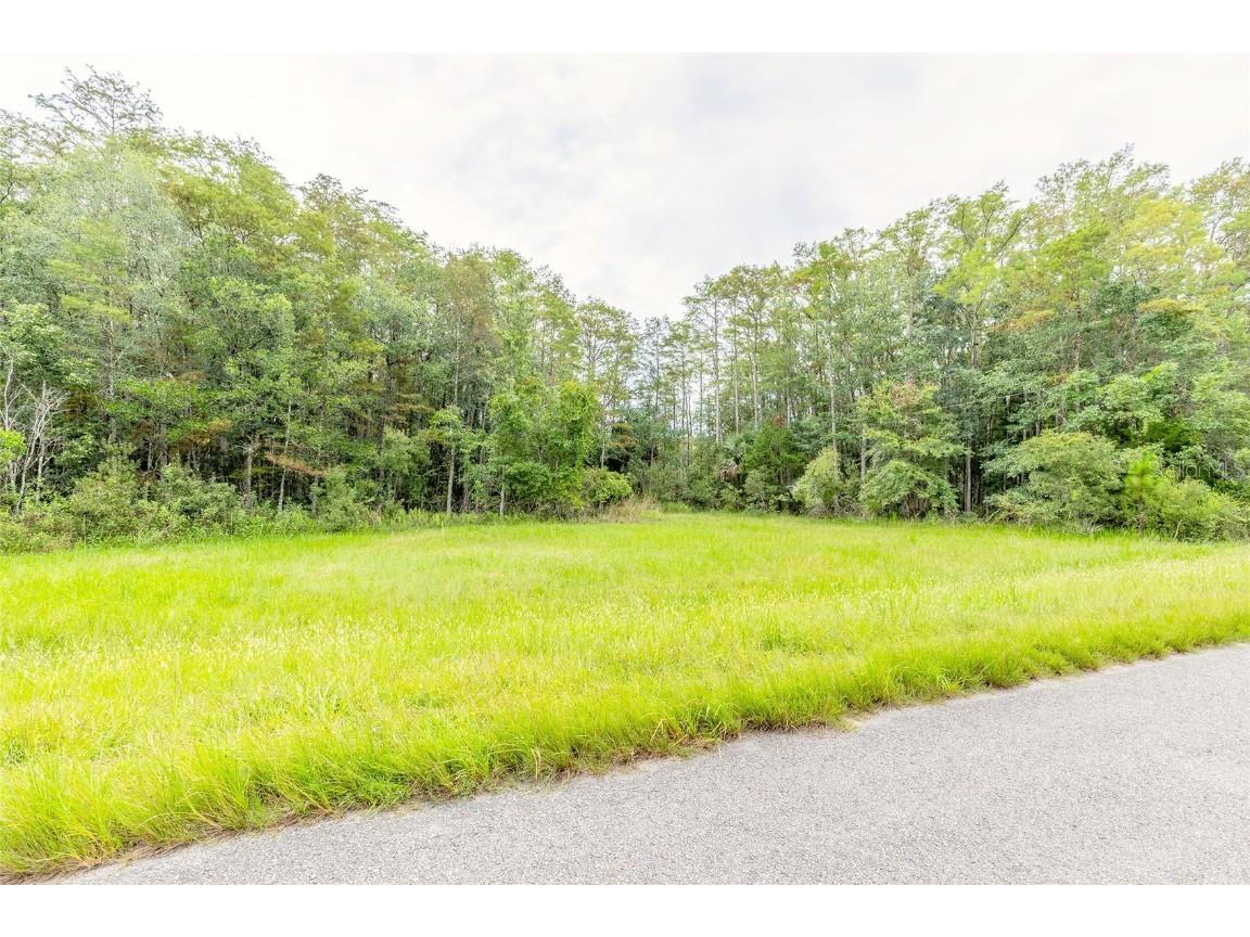 515 Cypress Isles Road Osteen FL 32764 NS1082288 image1