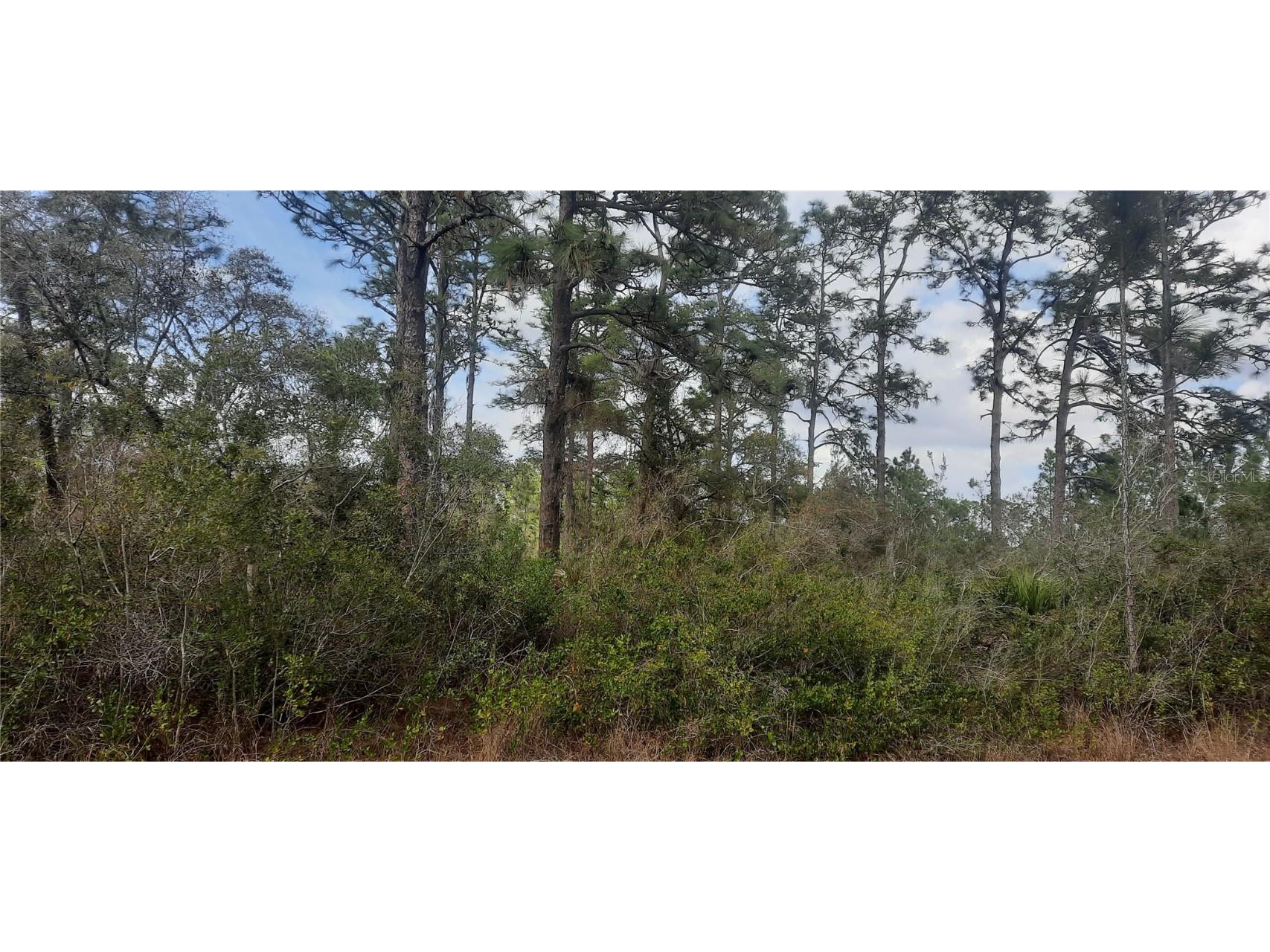 515 El Dorado Drive Indian Lake Estates FL 33855 - LAKE WALK-IN-WATER TB8357076 image1
