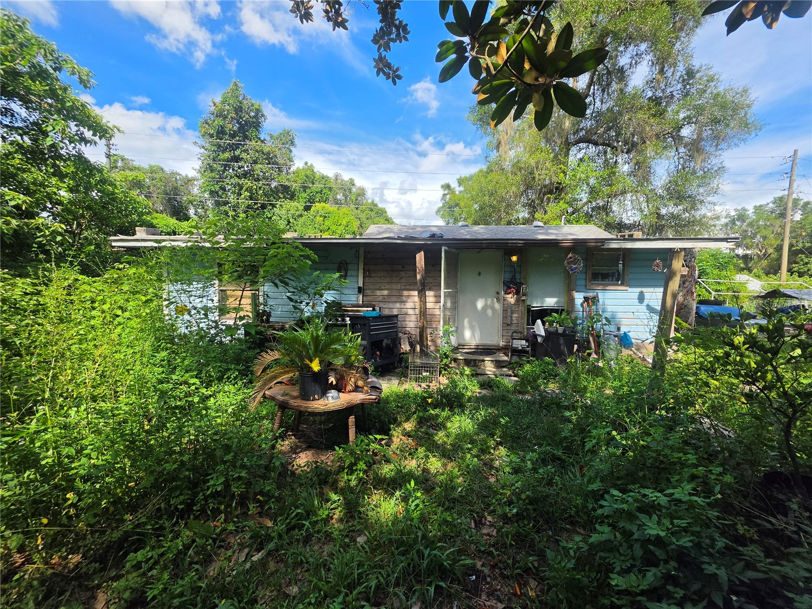 515 Ella Avenue Inverness FL 34450 OM727203 image12