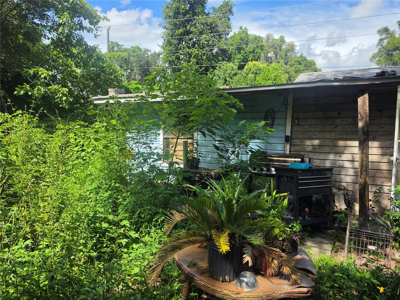 515 Ella Avenue Inverness FL 34450 OM727203 image14