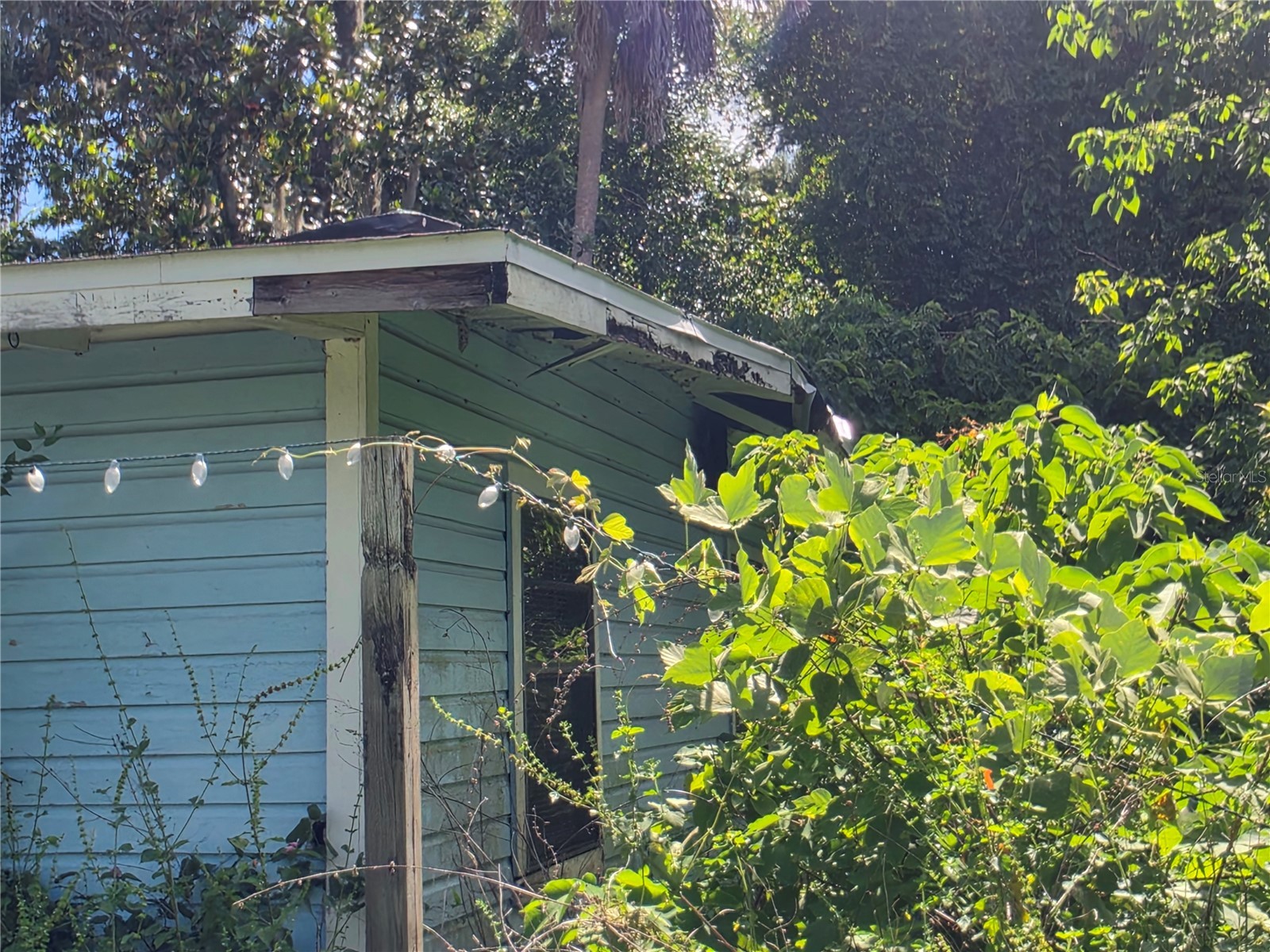 515 Ella Avenue Inverness FL 34450 OM727203 image6