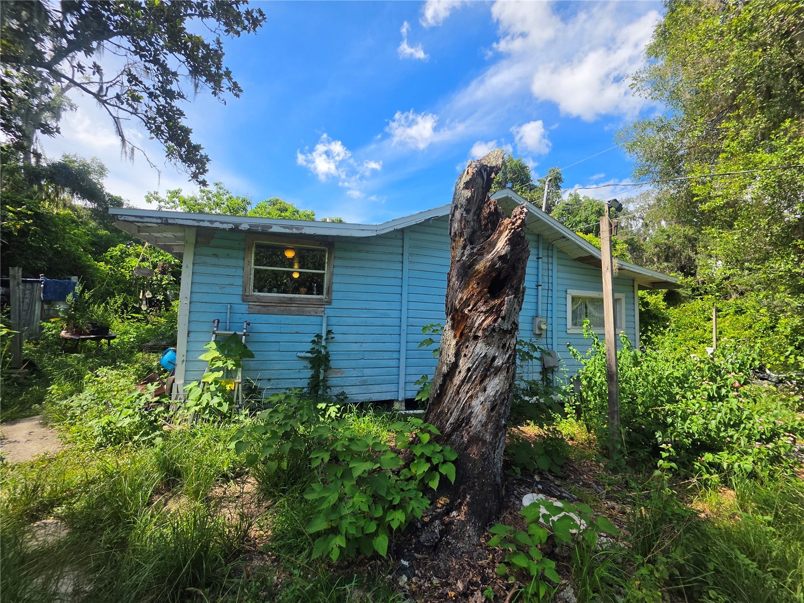 515 Ella Avenue Inverness FL 34450 OM727203 image8